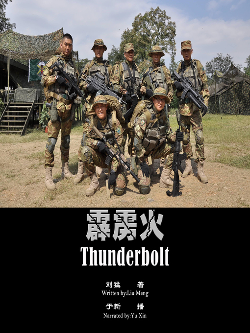 Cover image for 霹雳火